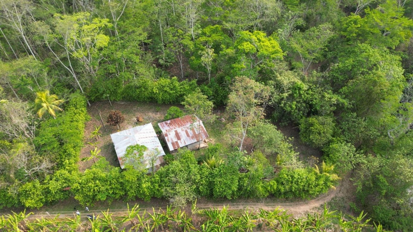 Vista desde la Terraza